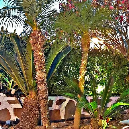 Nicole Luxury Villa Koskinou (Rhodes)