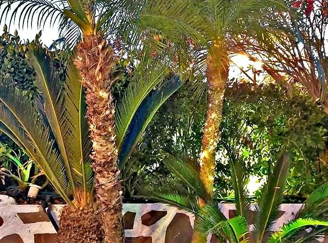 Nicole Luxury Villa Koskinou (Rhodes)